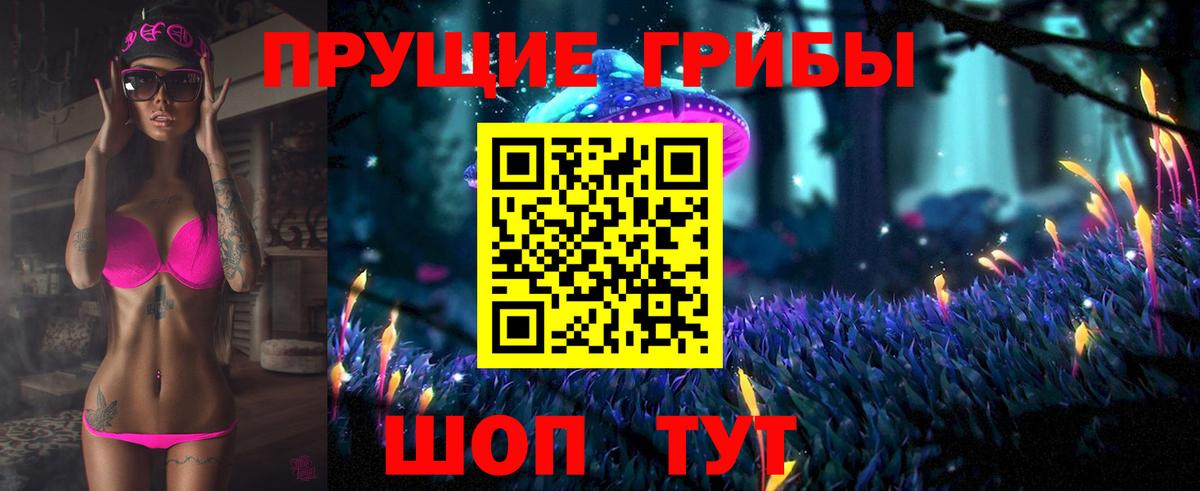 Галлюциногенные грибы Cubensis  как найти   Вход с VPN  Сегежа  Псилоцибиновые грибы GOLDEN TEACHER 